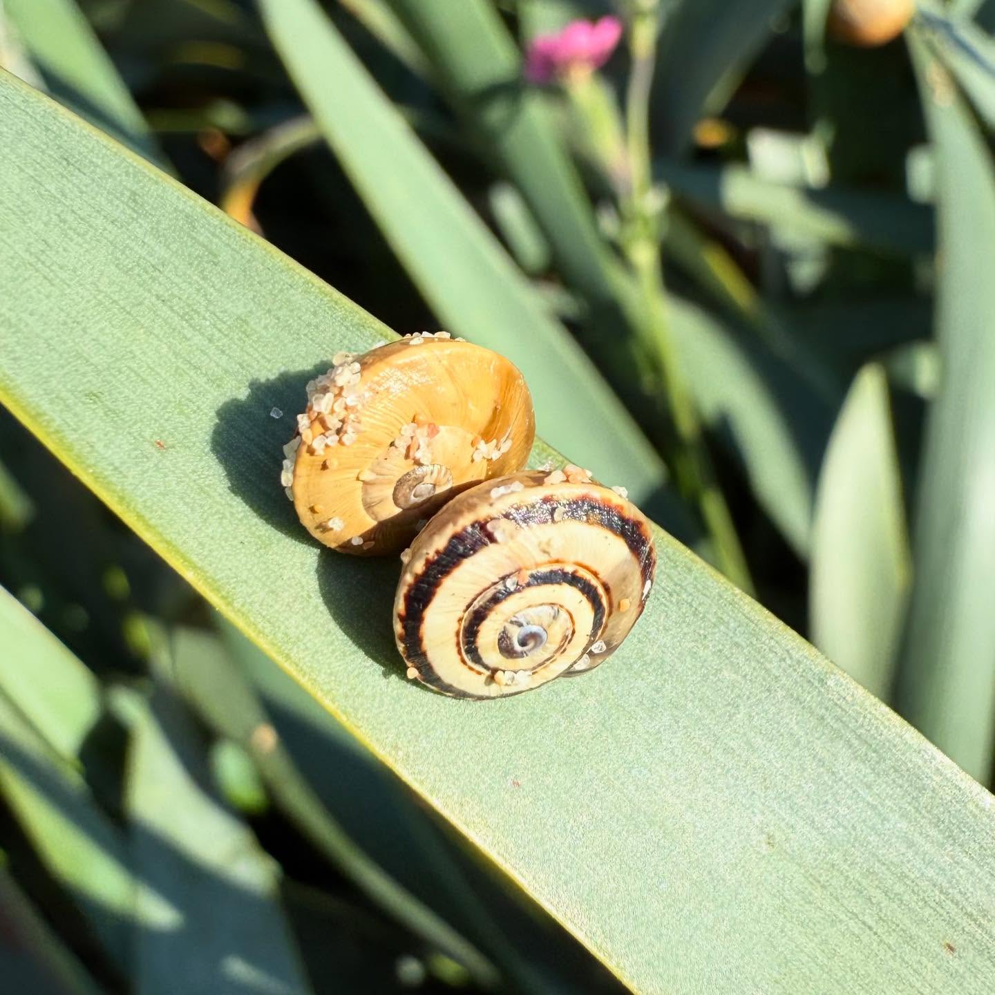 Actual portrait of @fenandco and me #yip2025