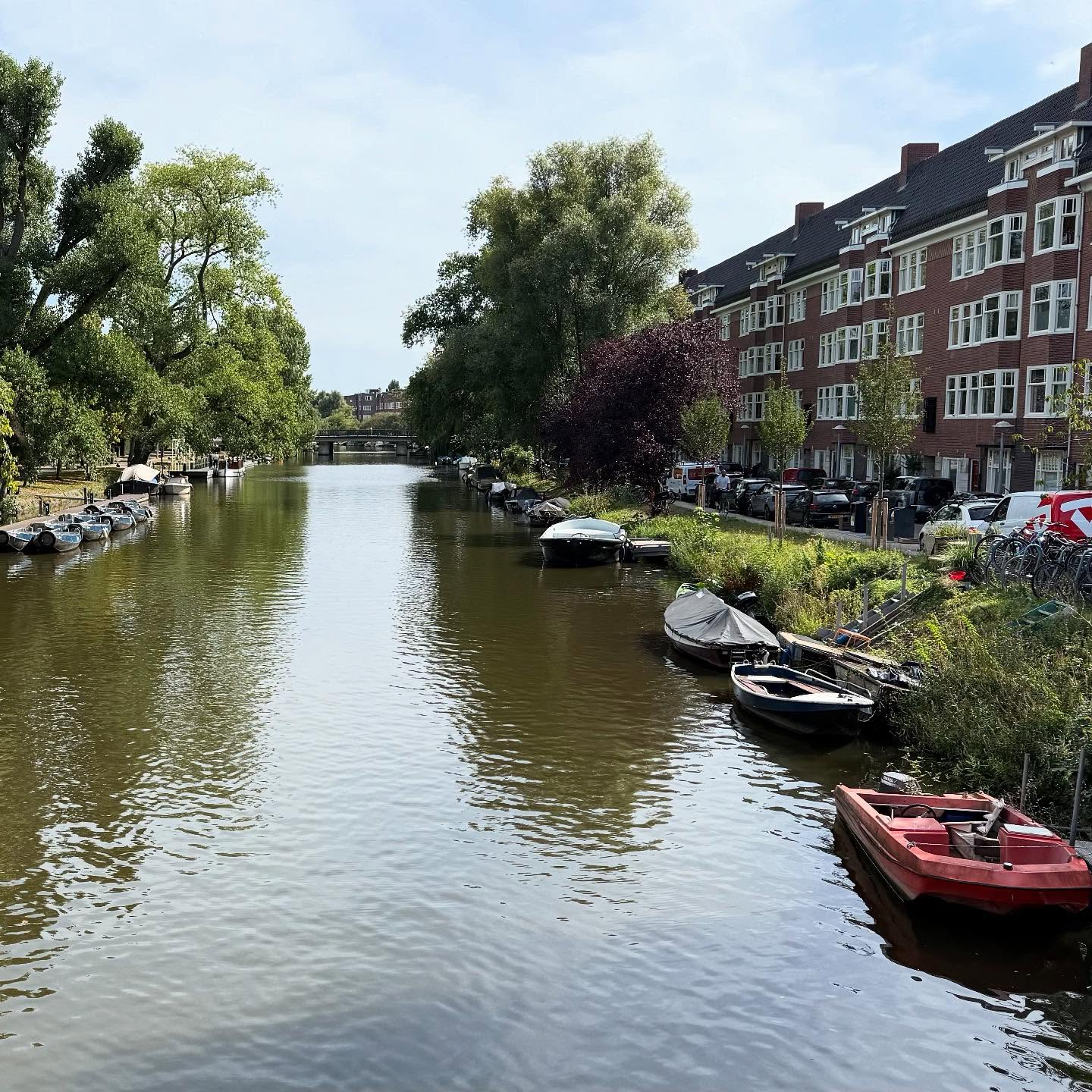 Amsterdam in the summer 😎