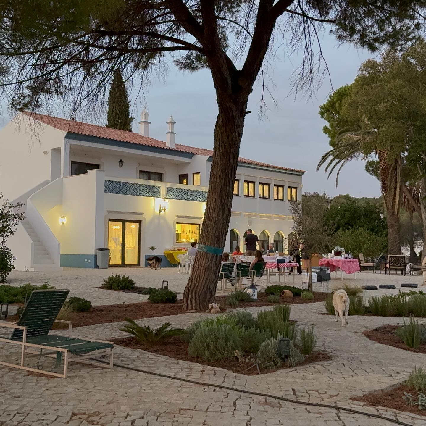 Whar a spot! #yip2025