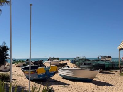 Stunning day to have lunch by the sea #yip2026