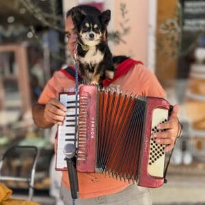 And on the harmonica, we have little dog #yip2026